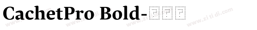CachetPro Bold字体转换